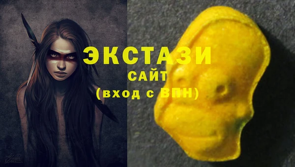 ECSTASY Алзамай