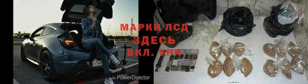 ECSTASY Алзамай