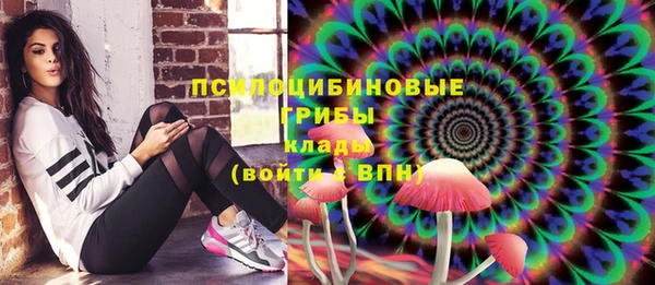 ECSTASY Алзамай