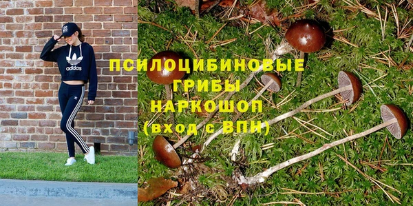 ECSTASY Алзамай