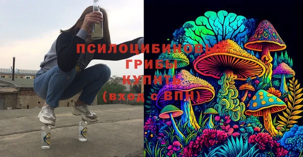 a pvp Алексин