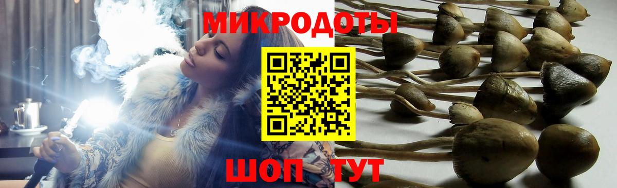 Галлюциногенные грибы Psilocybe Осинники